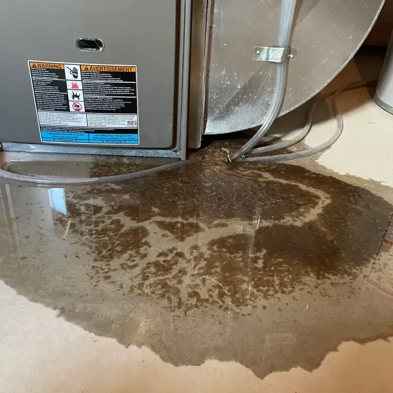 Appliance Leak Cleanup in Huntington County, IN